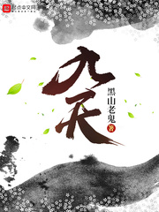 掠天记