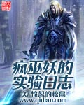 疯巫妖的实验