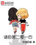 请回答二零一