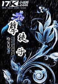 挣宠II