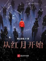 掠天记