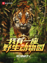 巅峰游戏制作人